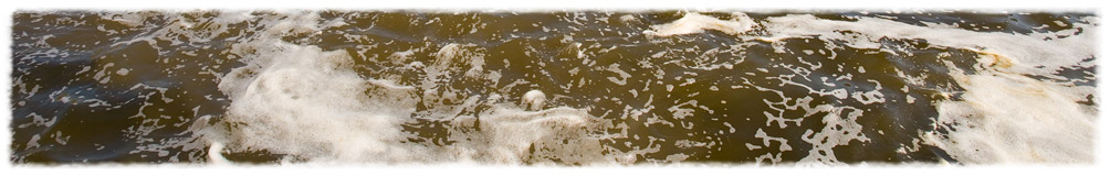 photo by Will Crocker